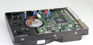 Czy do M1 Marki można z psem?