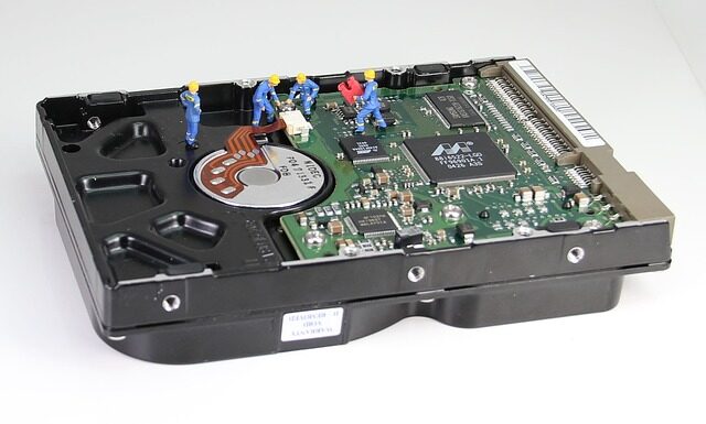 Czy do M1 Marki można z psem?