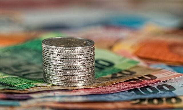 Ile kosztuje miesięczny koszt utrzymania królika?