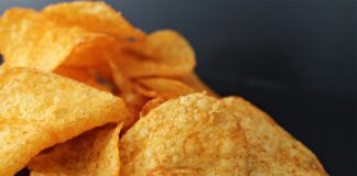 Do jakiego wieku szczeniak gryzie?