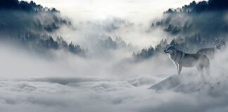 Gdzie przechowywać zimowe ciuchy?