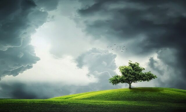 Czy zielony jęczmień obniża cholesterol?