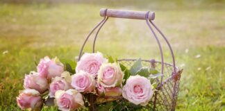 Co można włożyć do kosza upominkowego?