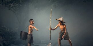 Co szkodzi rybom w akwarium?