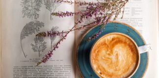 Ile razy dziennie można pić yerba mate?