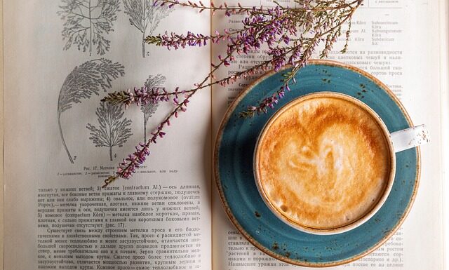 Ile razy dziennie można pić yerba mate? Ile razy dziennie można pić yerba mate?