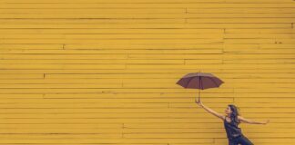 Skąd wziąć żółte worki na śmieci?