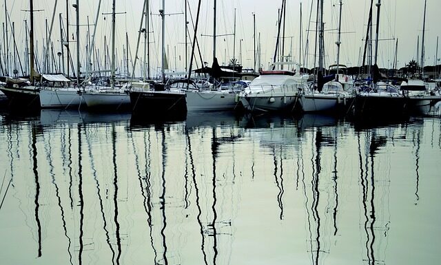 Czy można pakować próżniowo pieczarki?